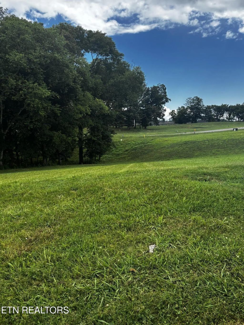 3964 Persimmon Ridge, Loudon