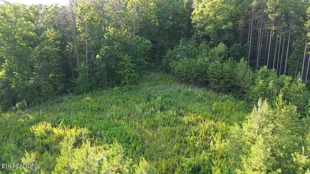 Lot 35 Winding Tr, Vonore