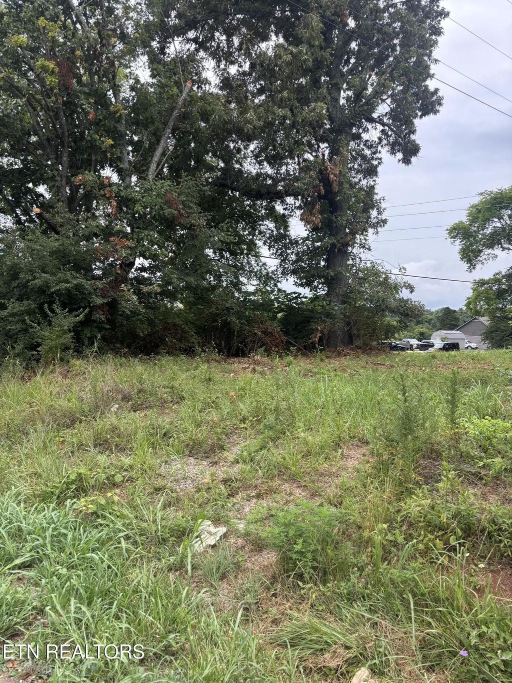 107 Long Powers Rd, Friendsville