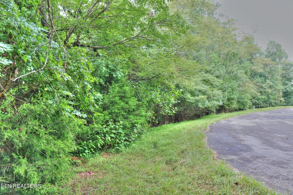 Lot 432 Beryl Court, New Tazewell
