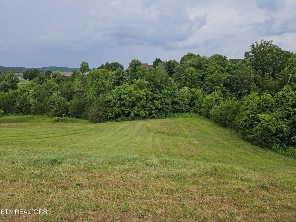 Lot 197 Captains Cove, Sharps Chapel