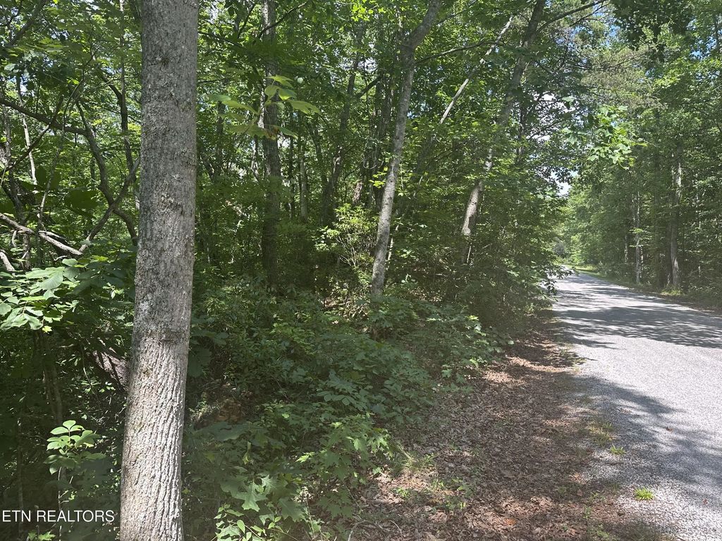 609 Saint George Drive, Crossville
