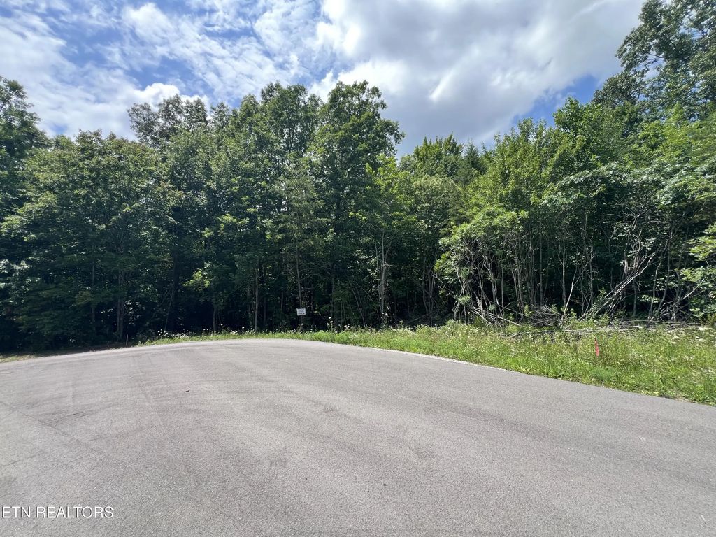 Lot 200 Elzies Way, Grimsley