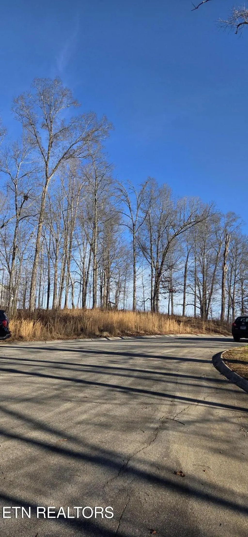 Lot 3 Sugar Maple Court, Madisonville