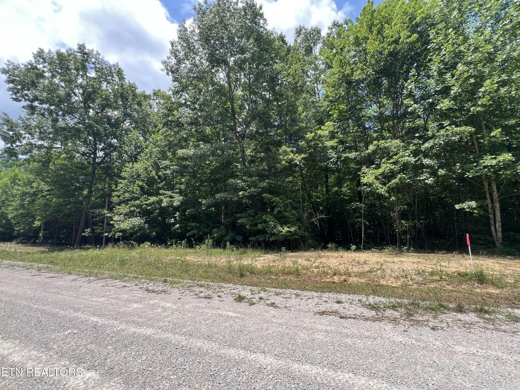 Lot 216 Hargis Rd, Grimsley