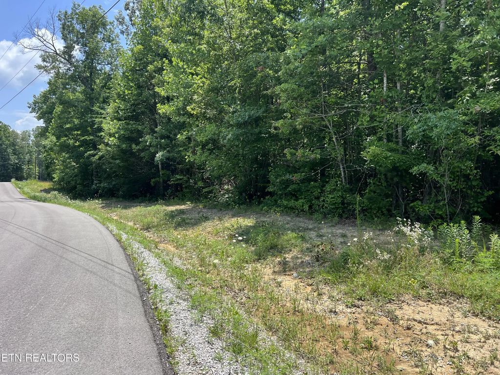 Lot 202 Elzies Way, Grimsley