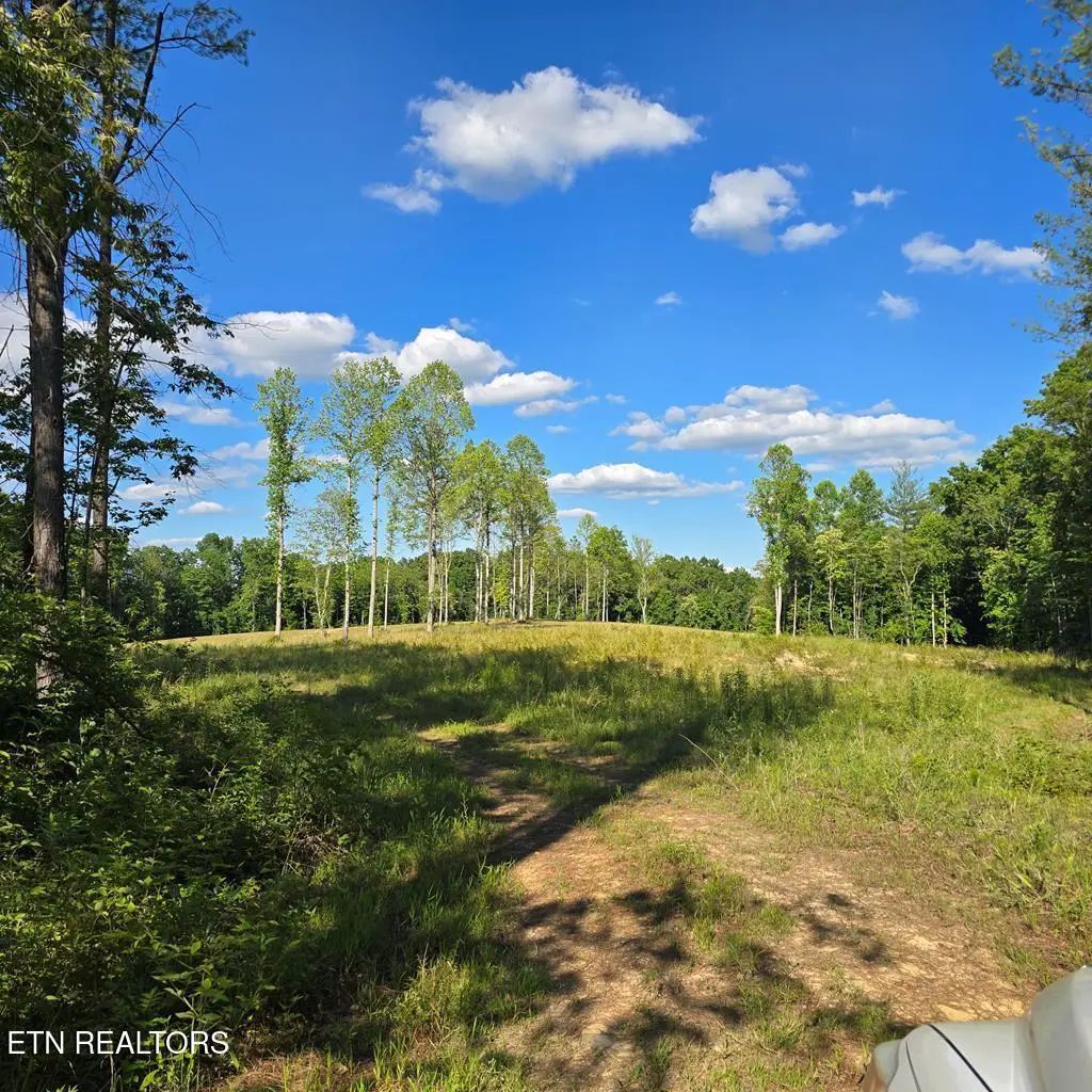 94.4 Ac Red Hill Rd, Sunbright