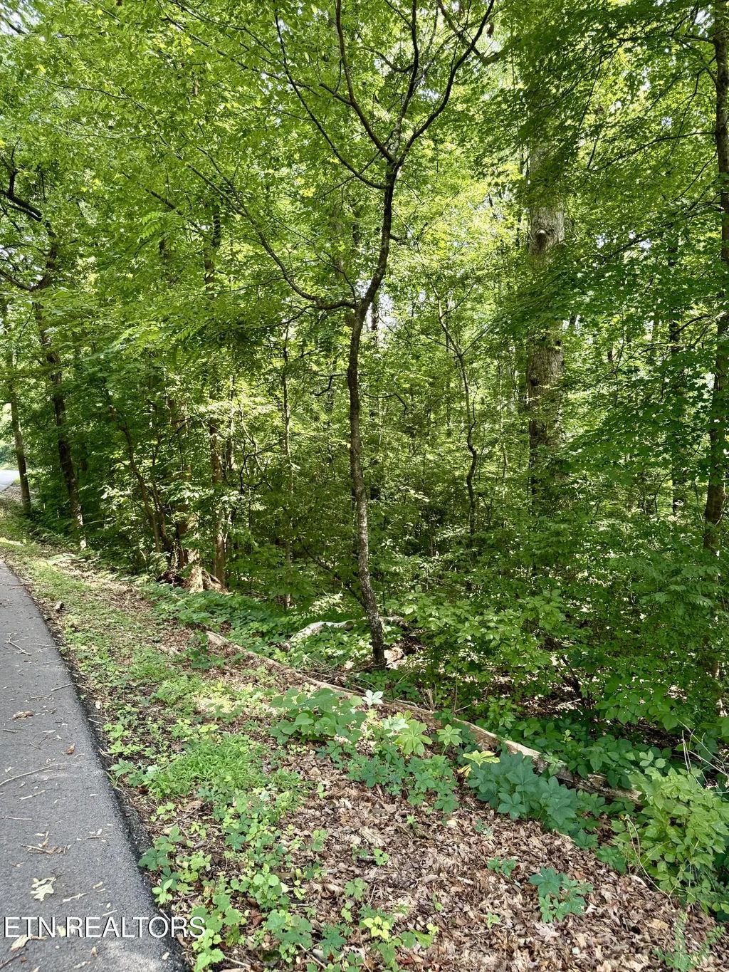 Edgewood Drive, Sweetwater