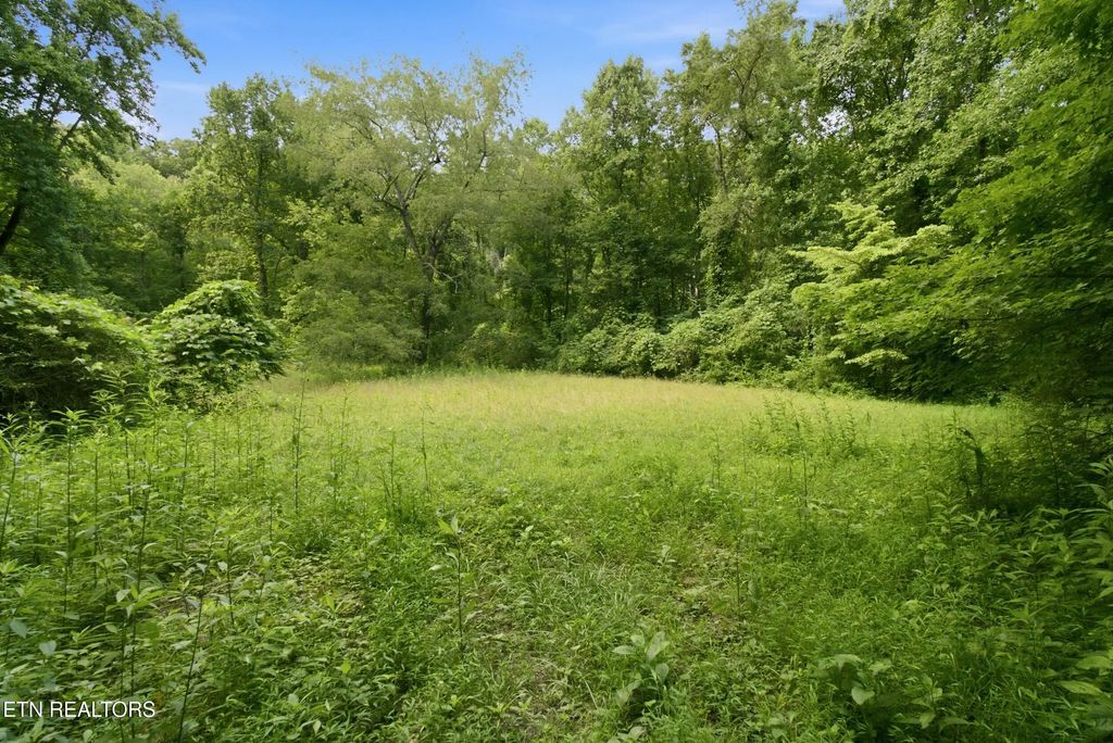 2777 Swanson Lane, Knoxville