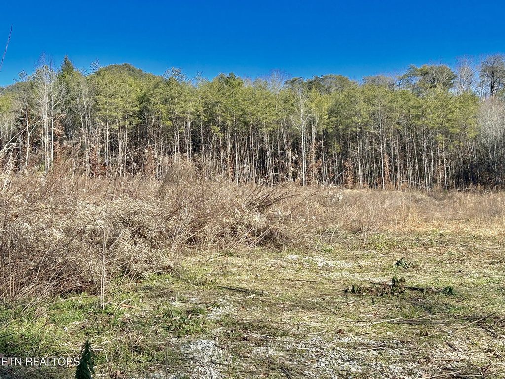 504 Wiggins Rd, Tellico Plains