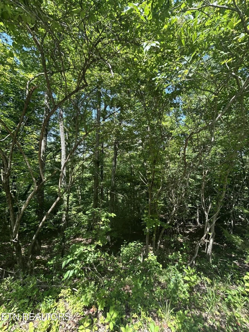 Lot 714 Russell Brothers Rd, Sharps Chapel
