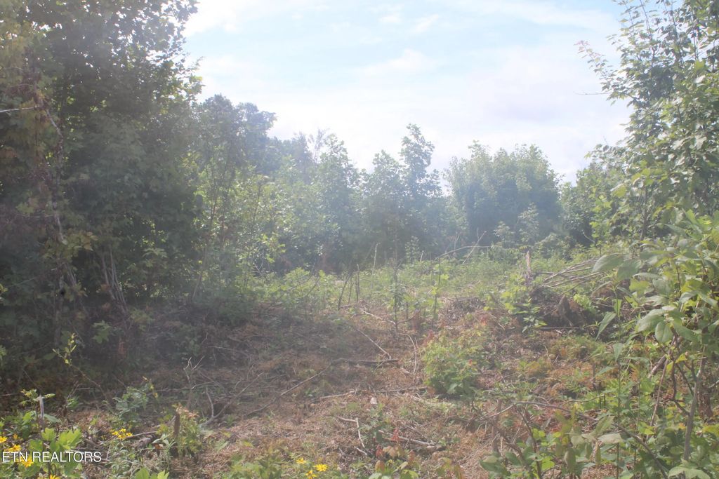 2058 Pickett Park Hwy, Jamestown