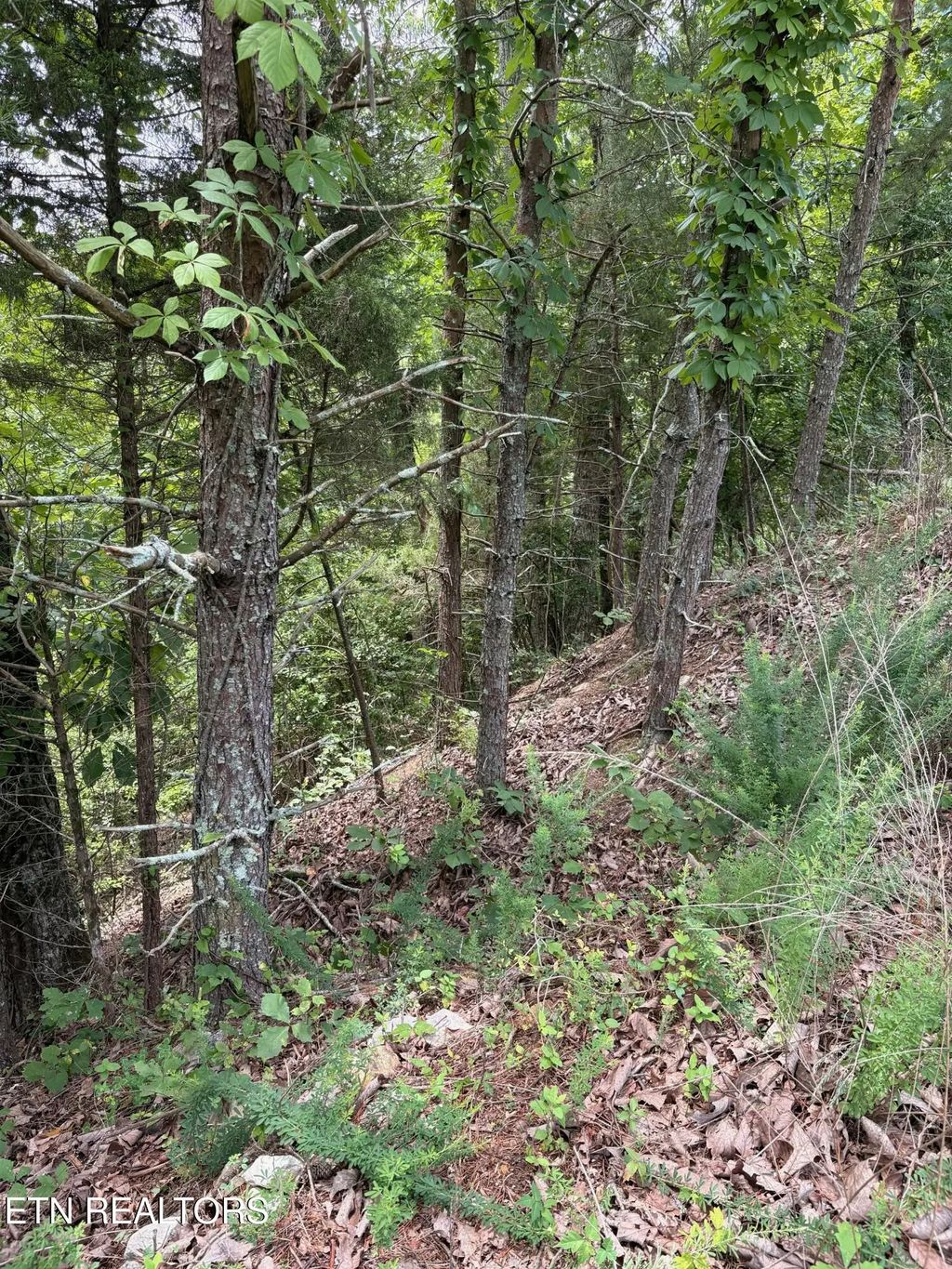Flint Ridge Road, Lot 417, Rockwood