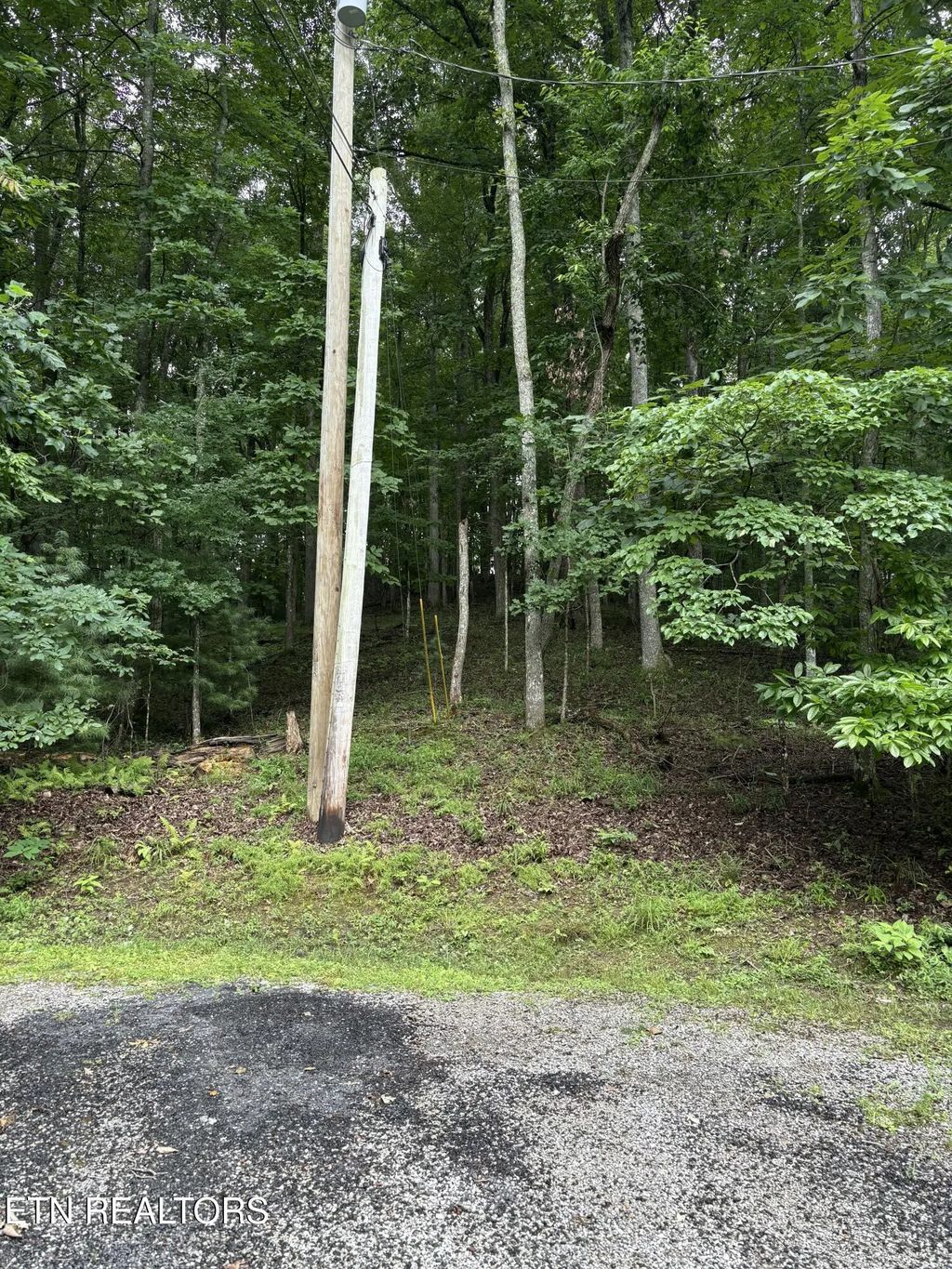 14 Lynhurst Circle, Crossville