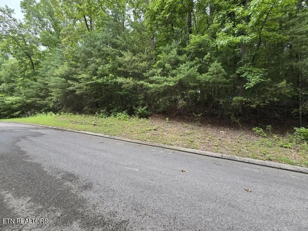 Lot 134 Lower Brow Rd, Dunlap