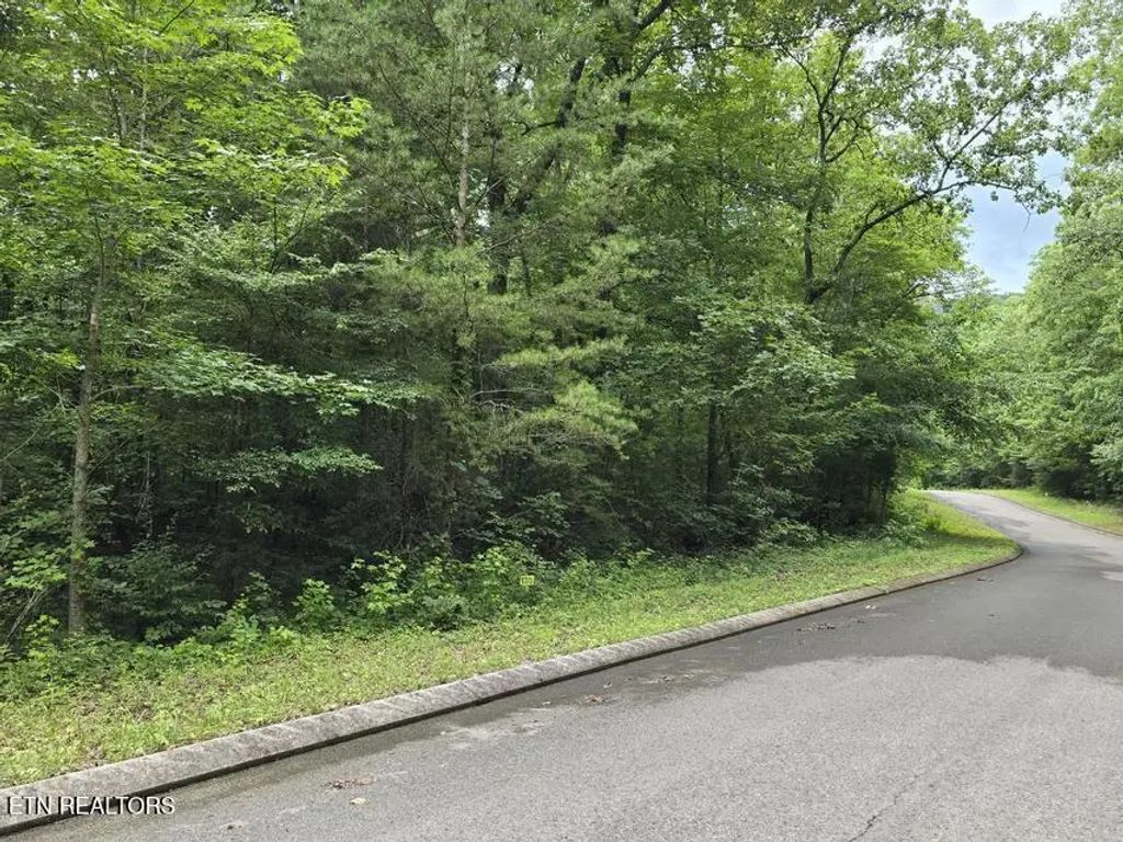 Lot 135 Lower Brow Rd, Dunlap
