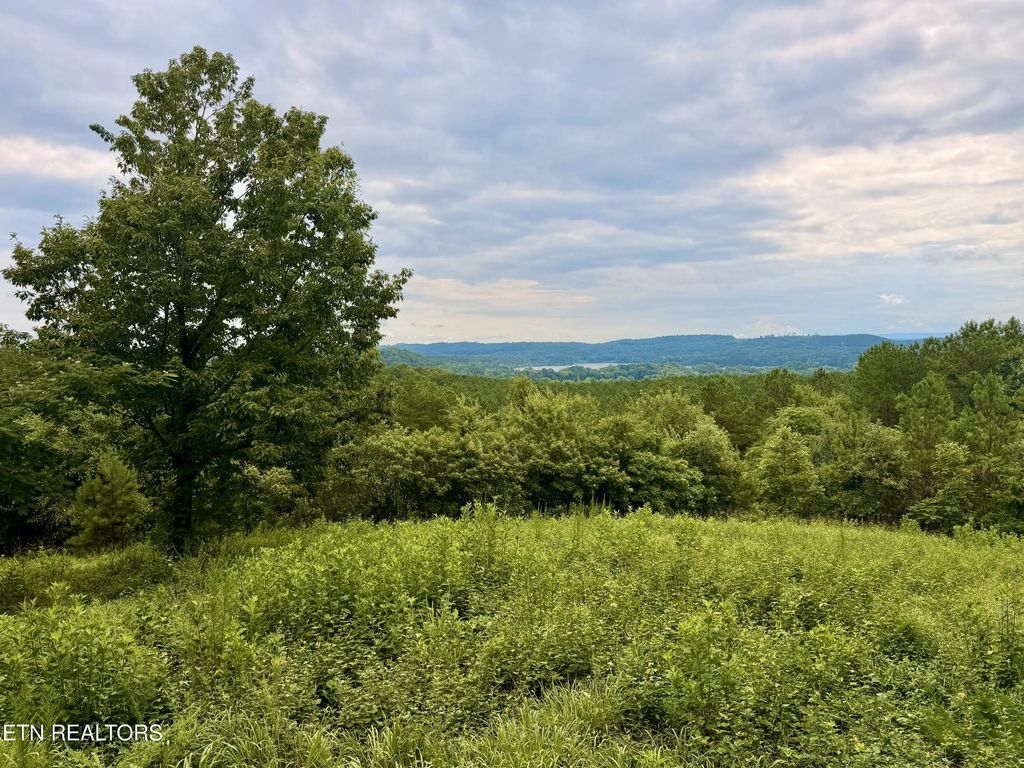 Nw Eads Bluff Rd, Georgetown