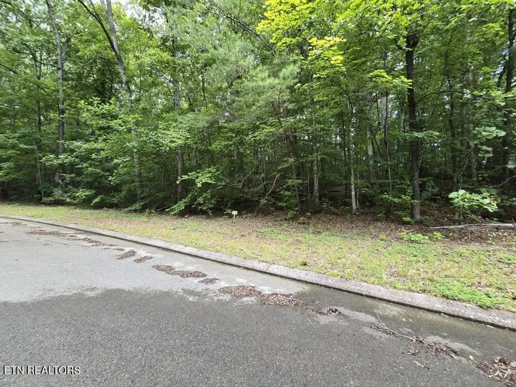 Lot 136 Lower Brow Rd, Dunlap