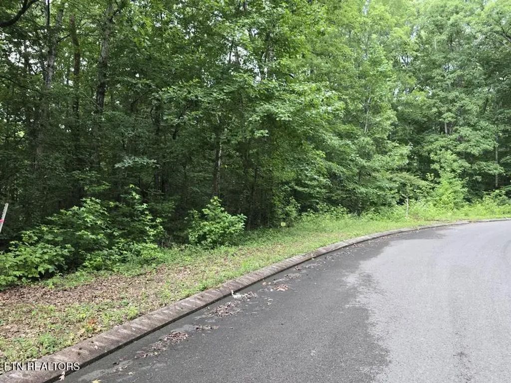 Lot 141 Lower Brow Rd, Dunlap