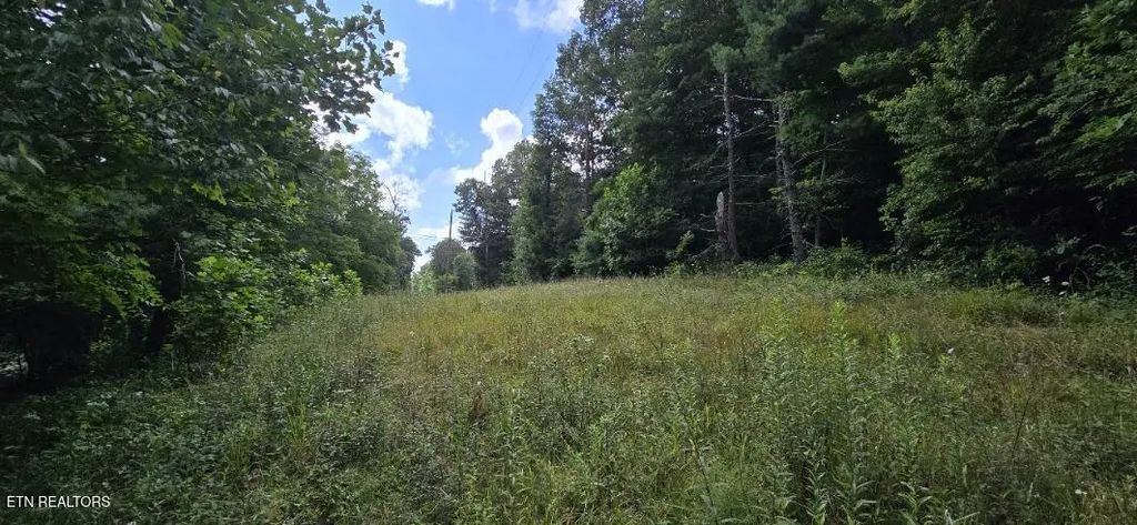 Honey Creek Loop Rd, Robbins