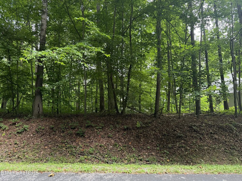 324 Dudala Point, Loudon