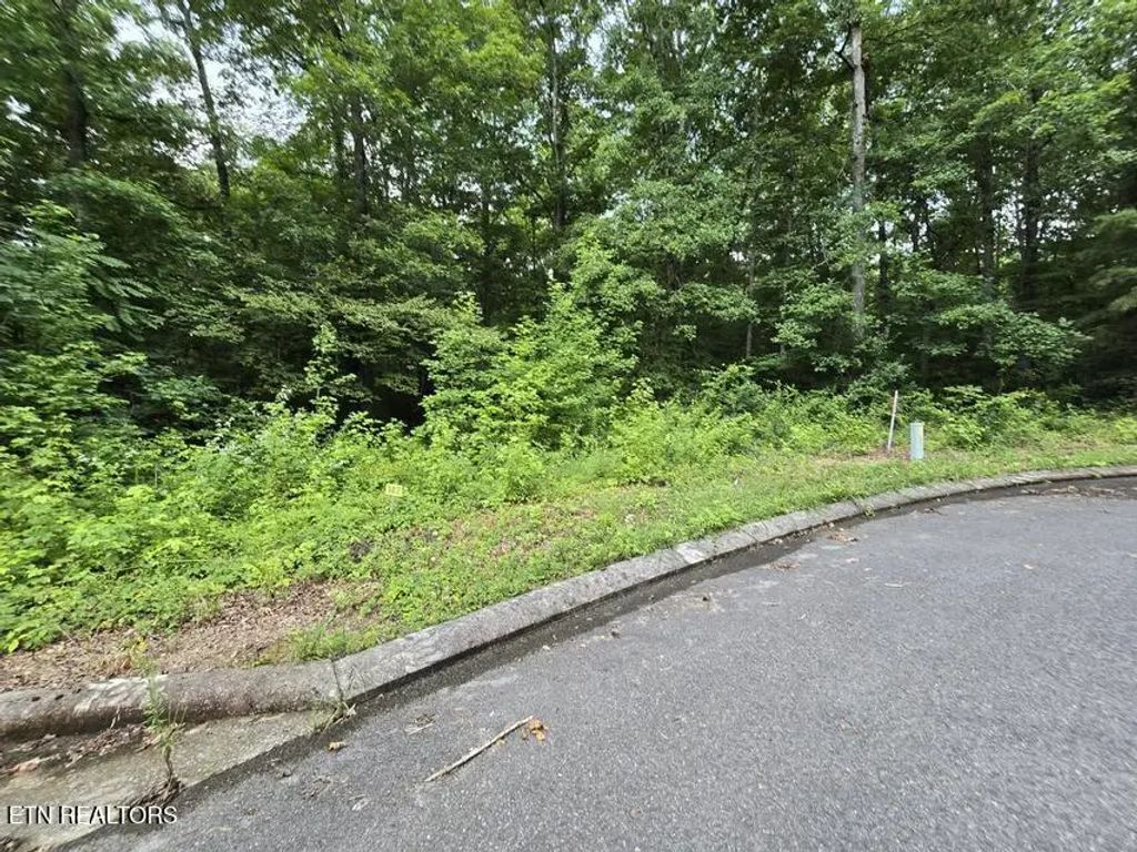 Lot 142 Lower Brow Rd, Dunlap