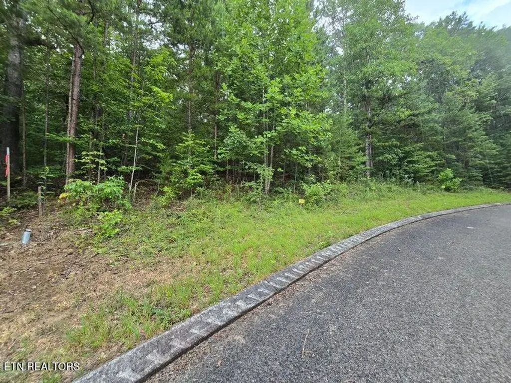 Lot 155 Lower Brow Rd, Dunlap