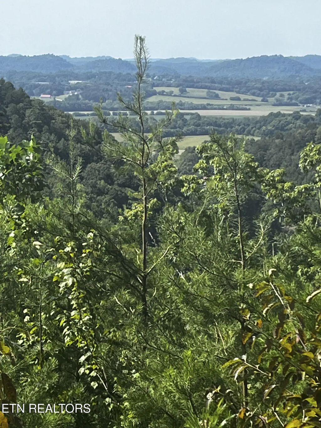 157 Quarry Creek Rd 1-4, Tellico Plains
