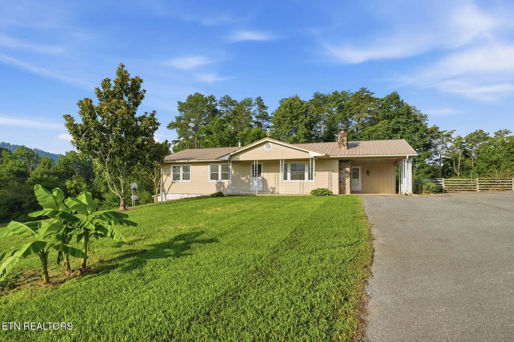 315 Brandon Hollow Lane, Bulls Gap