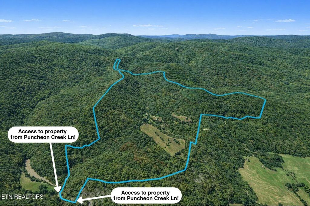700 Acres Puncheon Creek Lane, Allred