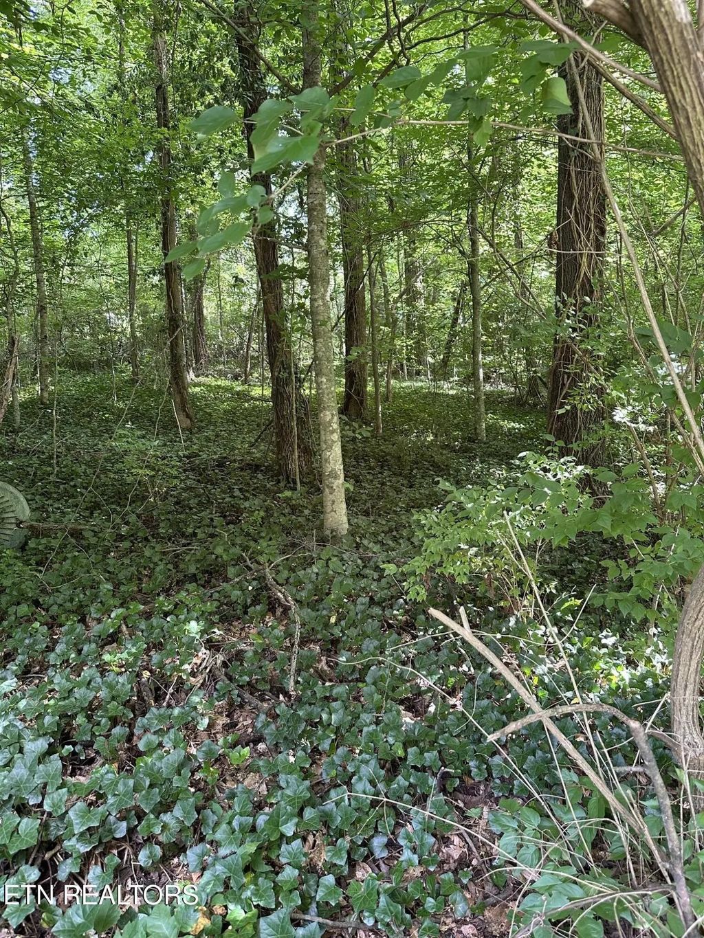 2506 Shaler Lane, Knoxville