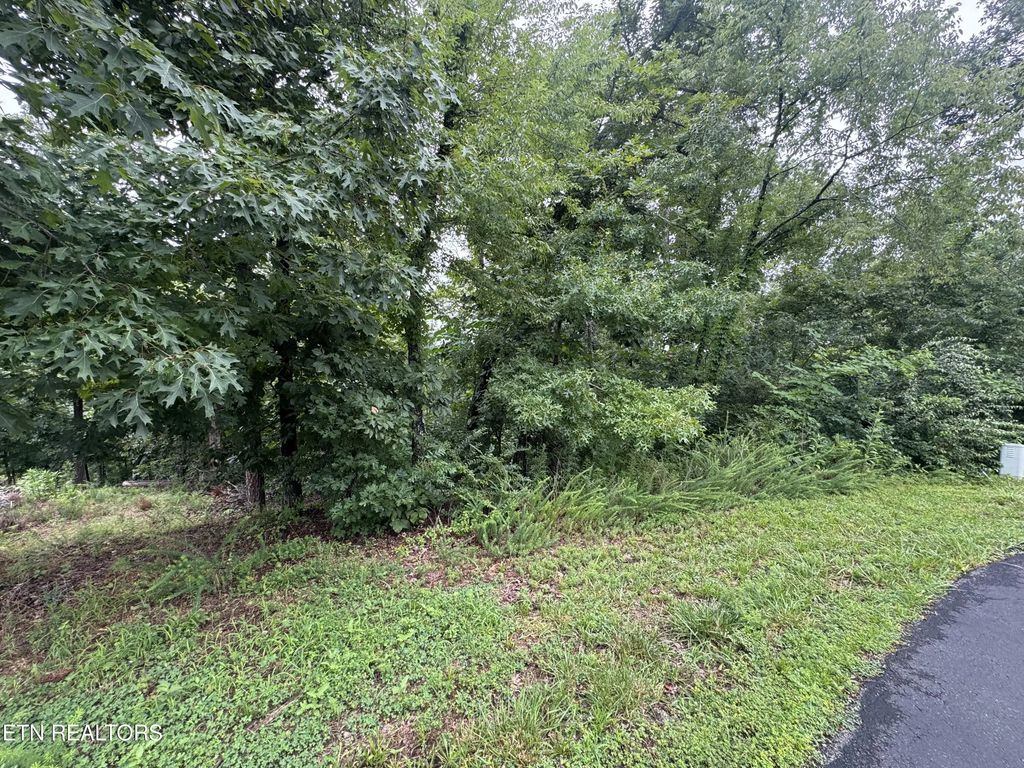 312 Skiatook Circle, Loudon