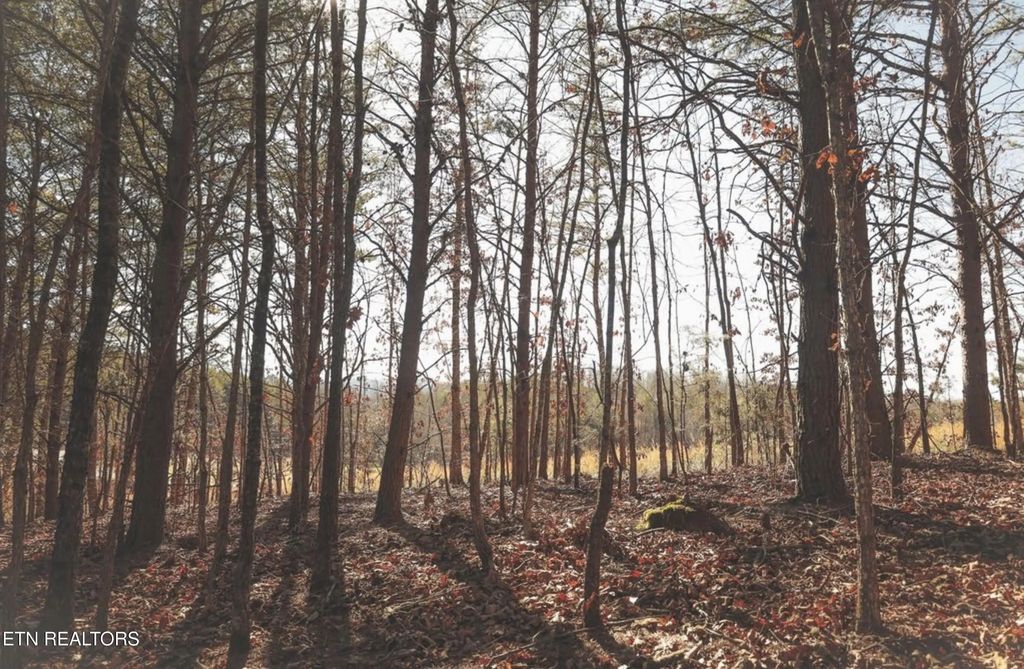 Lot 10 Curtis Rd, Tellico Plains