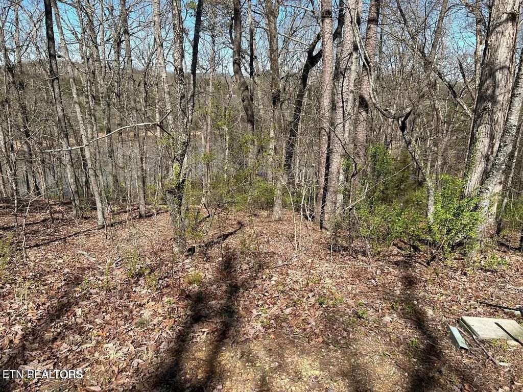 313 Skiatook Circle, Loudon