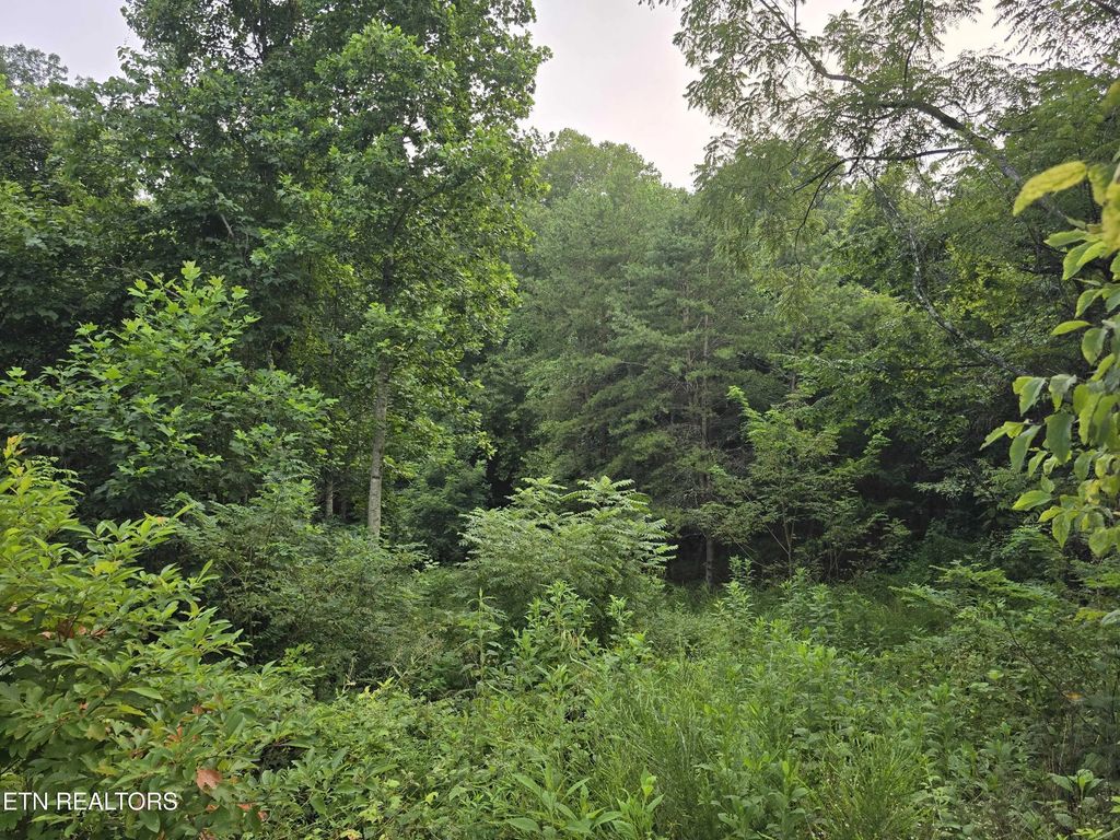 Volunteer Rd, Rutledge