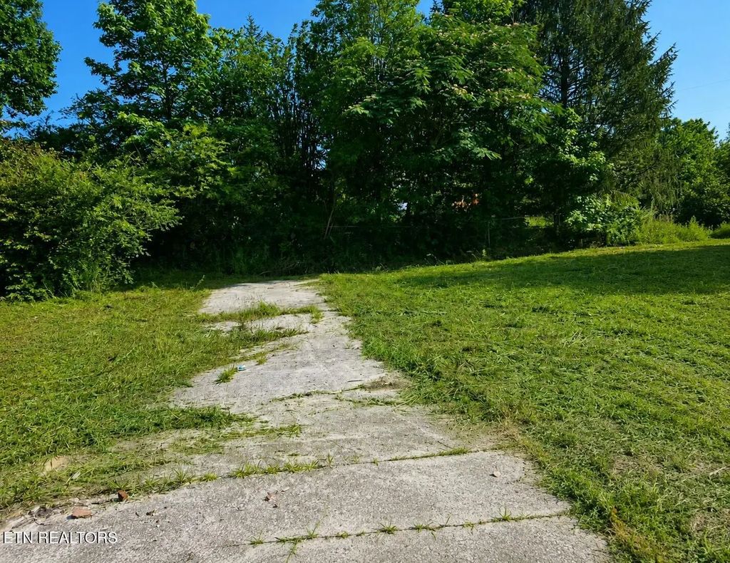 106 Wiley Cemetery Lane, Rocky Top