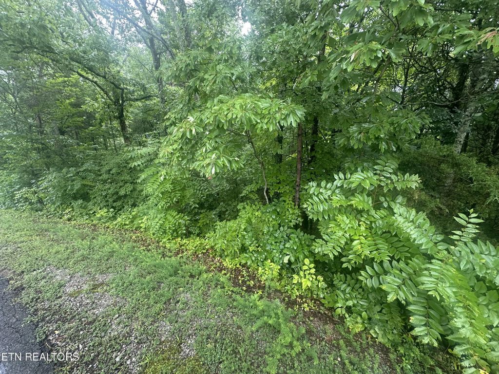 302 Elohi Trace, Loudon