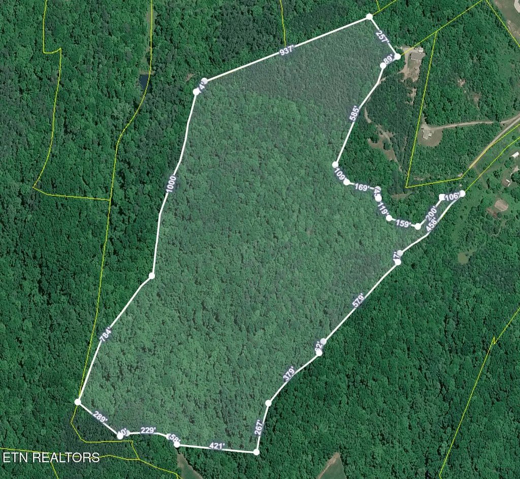 51 Acres Off Rocky Branch Rd, Rutledge