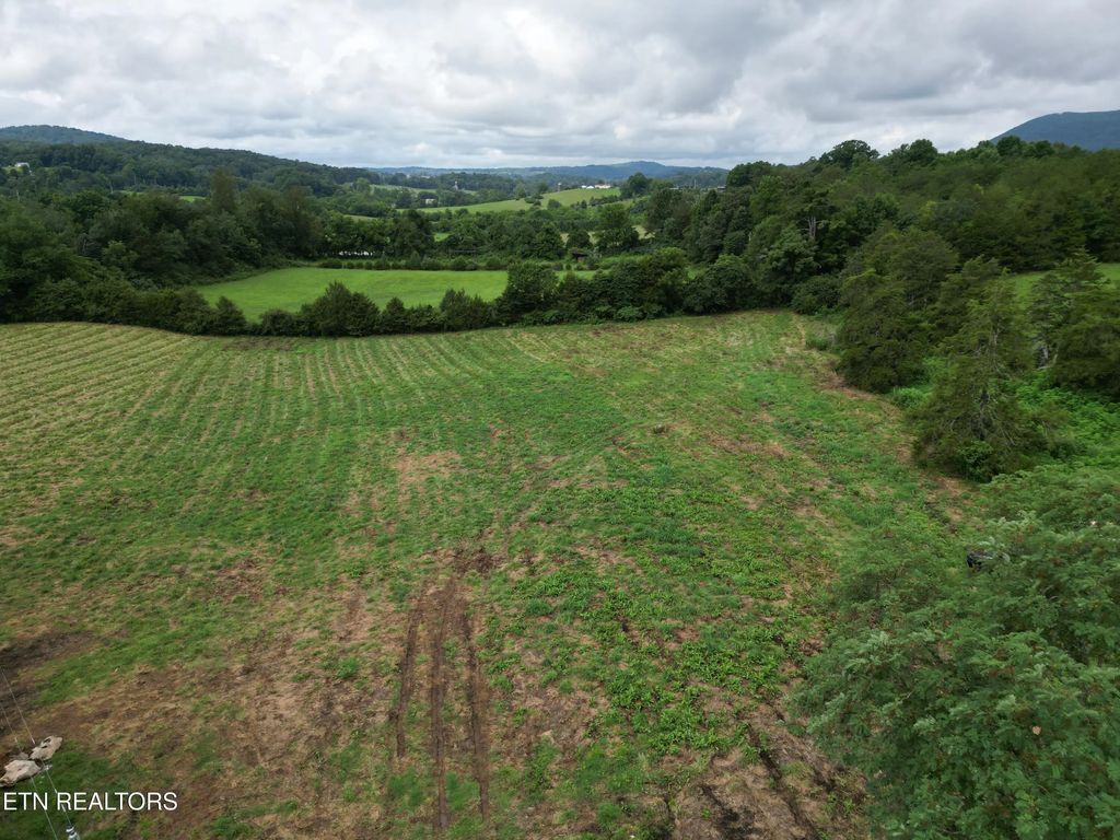 317 Singleton Hollow Rd Lot 1, Speedwell