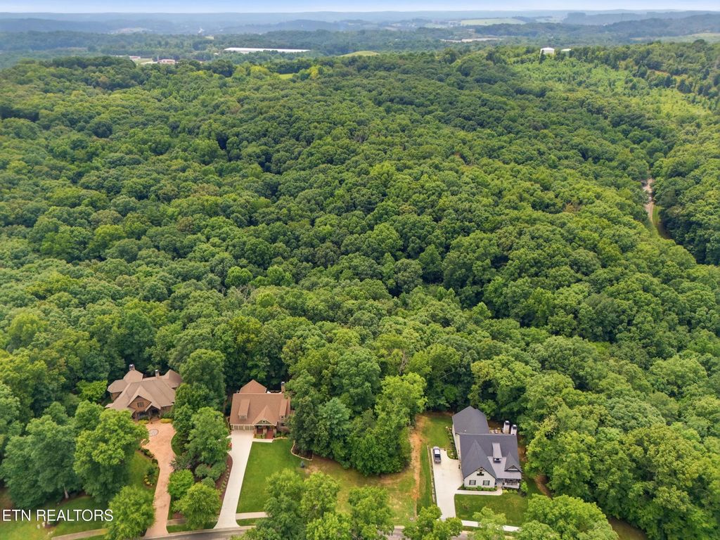 1004 Old Dogwood Tr, Loudon