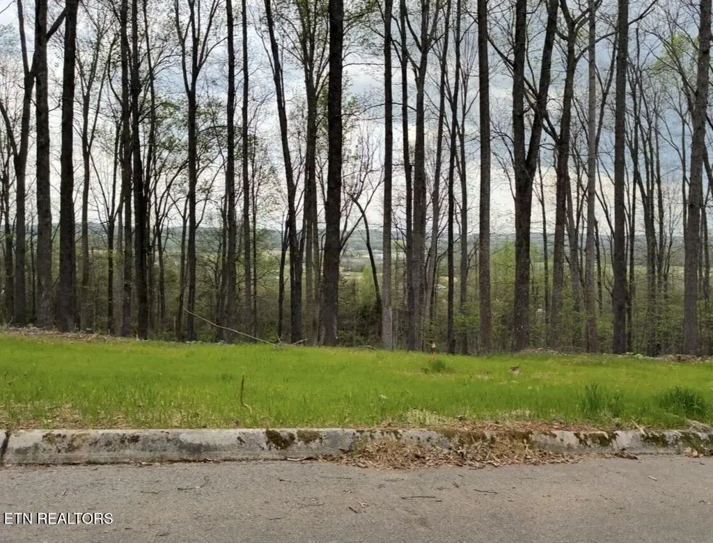 Lot 10 Poplar Drive, Sweetwater