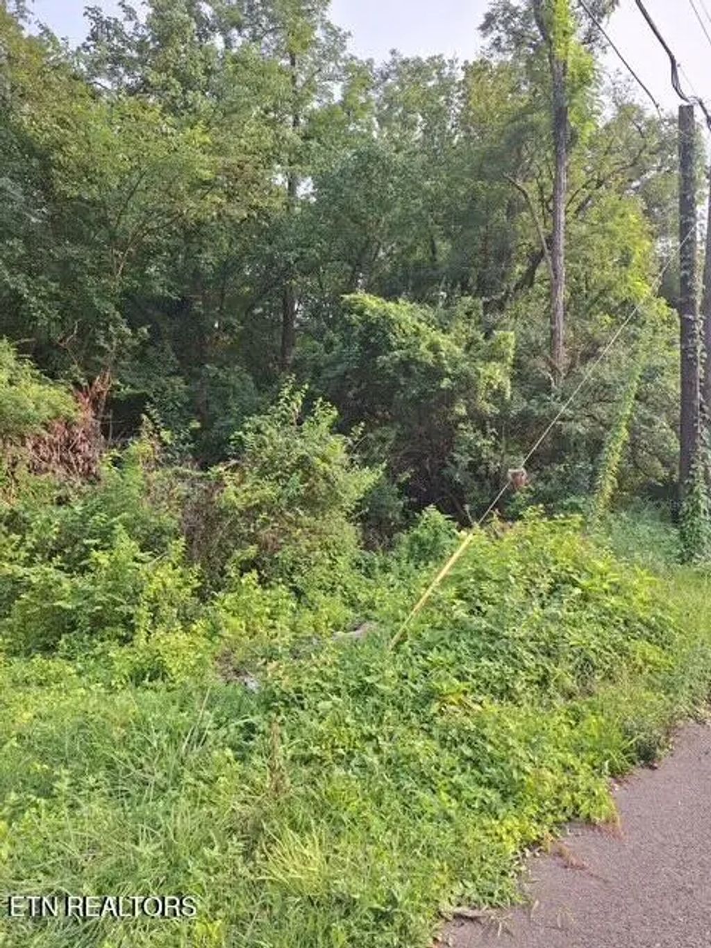 Addison Drive, Knoxville