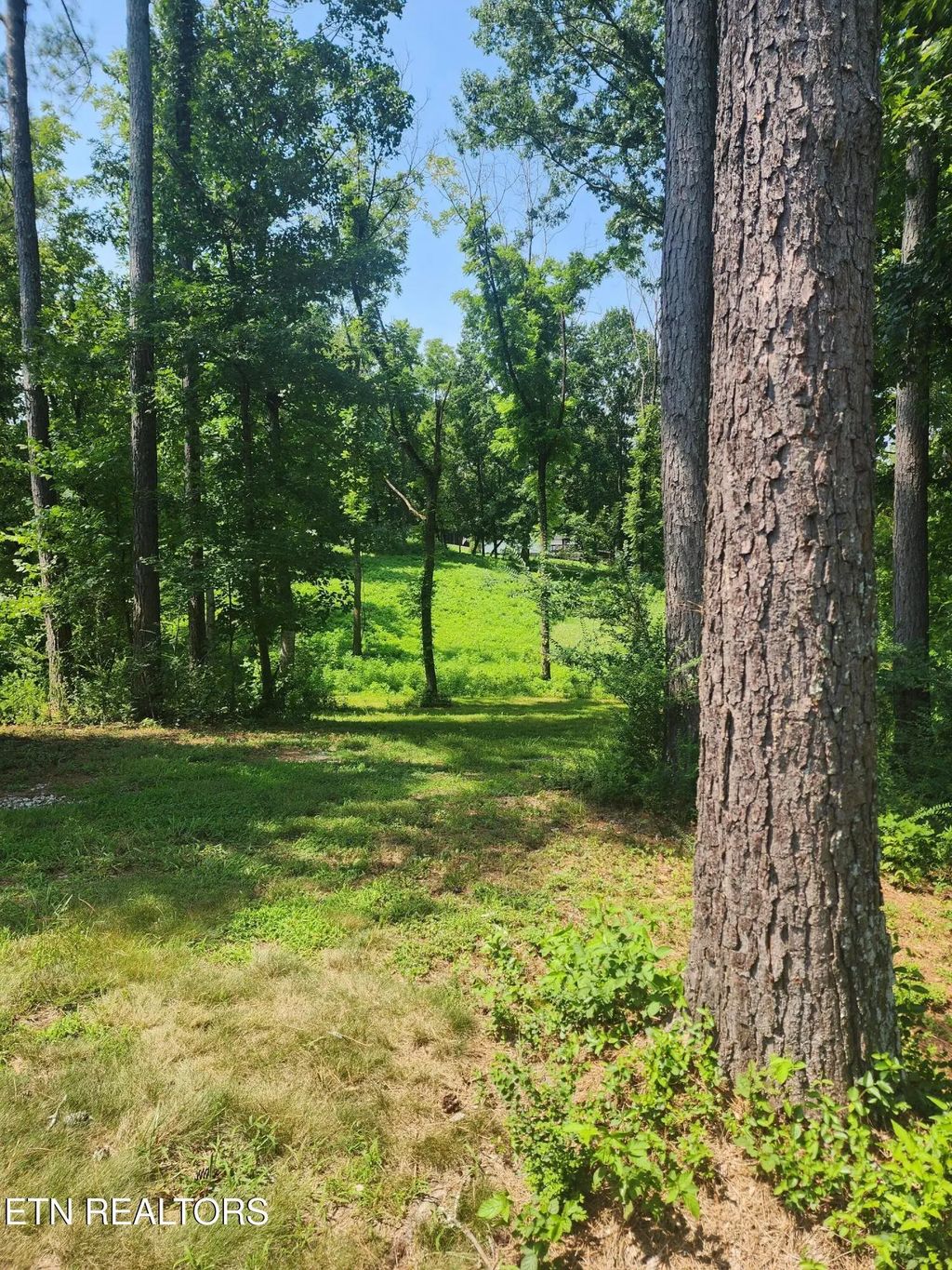 2255 Hubbard Rd, Loudon