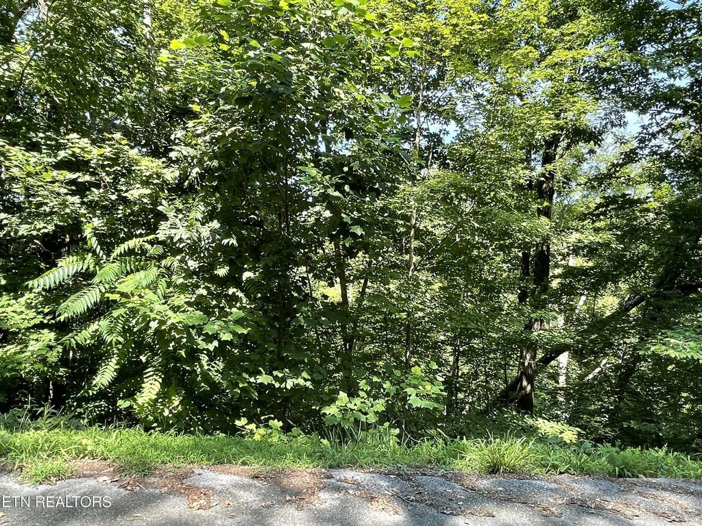 Lot 926 Stoneway Court, Baneberry