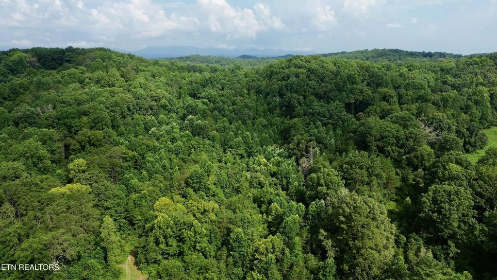 W Raccoon Valley Drive, Heiskell