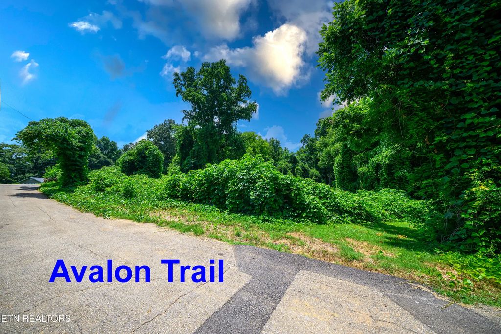 Avalon Tr, Knoxville