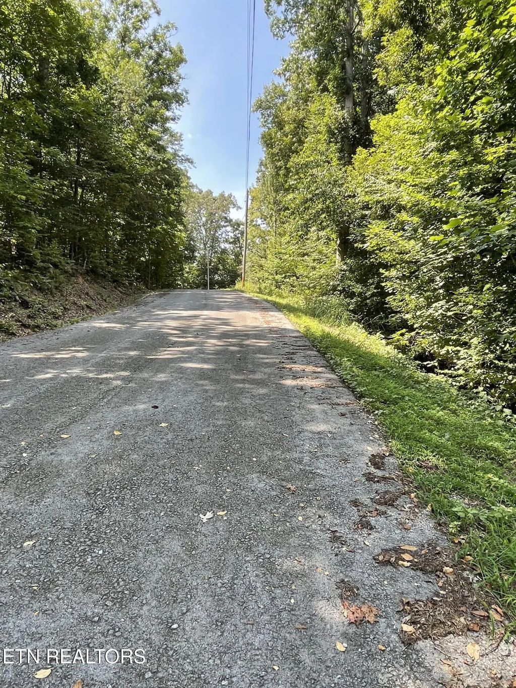 Lot 926 Stoneway Court, Baneberry