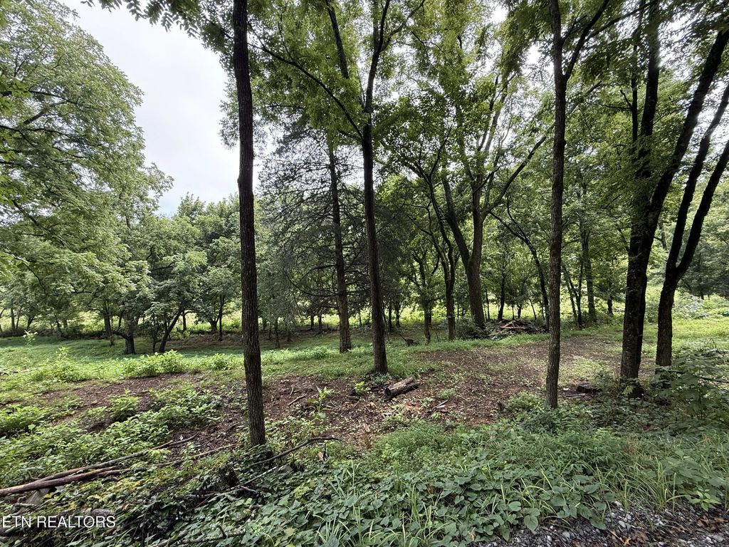 Lot 1 Mitchell Rd, New Market