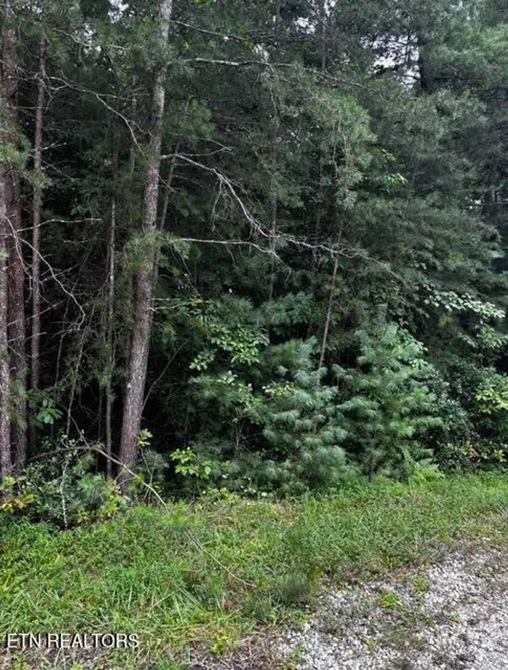 15 Minetta Court, Crossville