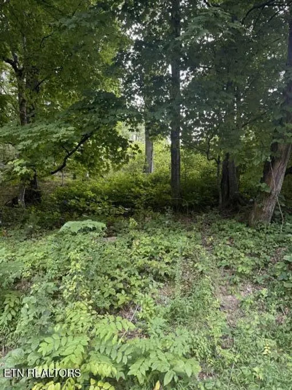 Cave Creek Rd Off Rd, Loudon